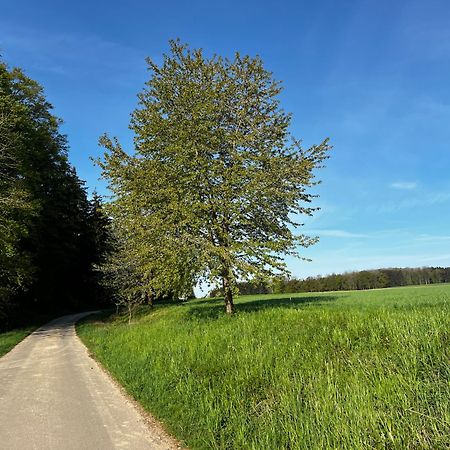 Klosterberghaus - Kontaktloser Check-In Elchingen Kültér fotó