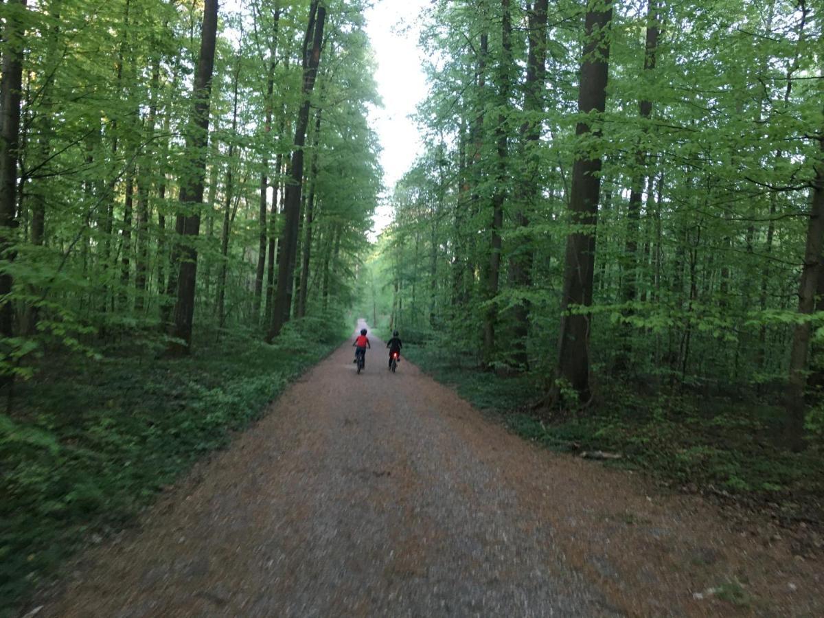 Klosterberghaus - Kontaktloser Check-In Elchingen Kültér fotó